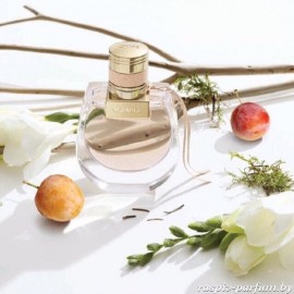 Chloe Nomade edp Остаток во флаконе 15 мл, товарный флакон Chloe Nomade edp Остаток во флаконе 15 мл, товарный флакон