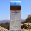 Dolce&Gabbana Light Blue edt Dolce&Gabbana Light Blue edt