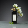 Trussardi Musc Noir Perfume Enhancer 
